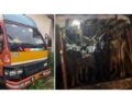 ಉಪ್ಪಿನಂಗಡಿಯಲ್ಲಿ ಅಕ್ರಮ ಜಾನುವಾರು ಸಾಗಾಟ ಪತ್ತೆ: ಇಬ್ಬರ ಬಂಧನ, ಓರ್ವ ಪರಾರಿ..!!