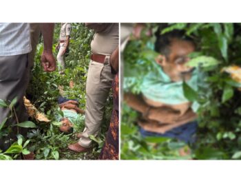 ಪುತ್ತೂರು: ಗೆಲ್ಲು ಕಡಿಯುತ್ತಿದ್ದ ಸಂದರ್ಭ ವಿದ್ಯುತ್ ತಂತಿ ತಗುಲಿ ವ್ಯಕ್ತಿ ಮೃತ್ಯು..!!