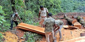 ಸರಕಾರಿ ಜಾಗದಲ್ಲಿ ಅಕ್ರಮ ಮರ ಕಡಿತ: ಪ್ರಕರಣ ದಾಖಲು..!!