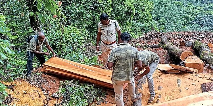 ಸರಕಾರಿ ಜಾಗದಲ್ಲಿ ಅಕ್ರಮ ಮರ ಕಡಿತ: ಪ್ರಕರಣ ದಾಖಲು..!!