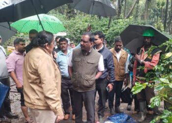 ಕಾಫಿ ತೋಟದಲ್ಲಿ ಕೆಲಸದ ವೇಳೆ ಮರ ಬಿದ್ದು ಇಬ್ಬರು ಮಹಿಳೆಯರ ದುರ್ಮರಣ.!