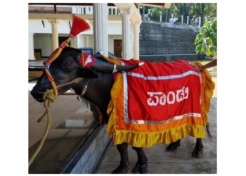 ಕಂಬಳ ಕ್ಷೇತ್ರದ ಲೆಜೆಂಡ್ ಪಾಂಡು ಇನ್ನಿಲ್ಲ..!!
