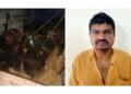 ಪುತ್ತೂರು: ಅಕ್ರಮವಾಗಿ ಕೇರಳಕ್ಕೆ ಸಾಗಿಸುತ್ತಿದ್ದ 11 ಜಾನುವಾರುಗಳ ರಕ್ಷಣೆ; ಓರ್ವ ಬಂಧನ..!