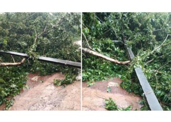 ಪುತ್ತೂರು: ಗಾಳಿ ಮಳೆಗೆ ಬನ್ನೂರಿನಲ್ಲಿ ಮುರಿದು ಬಿದ್ದ ಮರ, ವಿದ್ಯುತ್ ಕಂಬ..!
