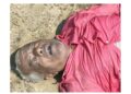 ಕುಮಾರಧಾರ ನದಿಯಲ್ಲಿ ವೃದ್ಧನ ಮೃತದೇಹ ಪತ್ತೆ..!